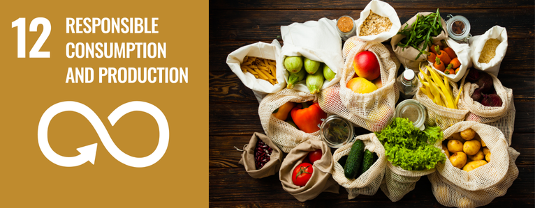 SDG12