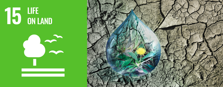 SDG15
