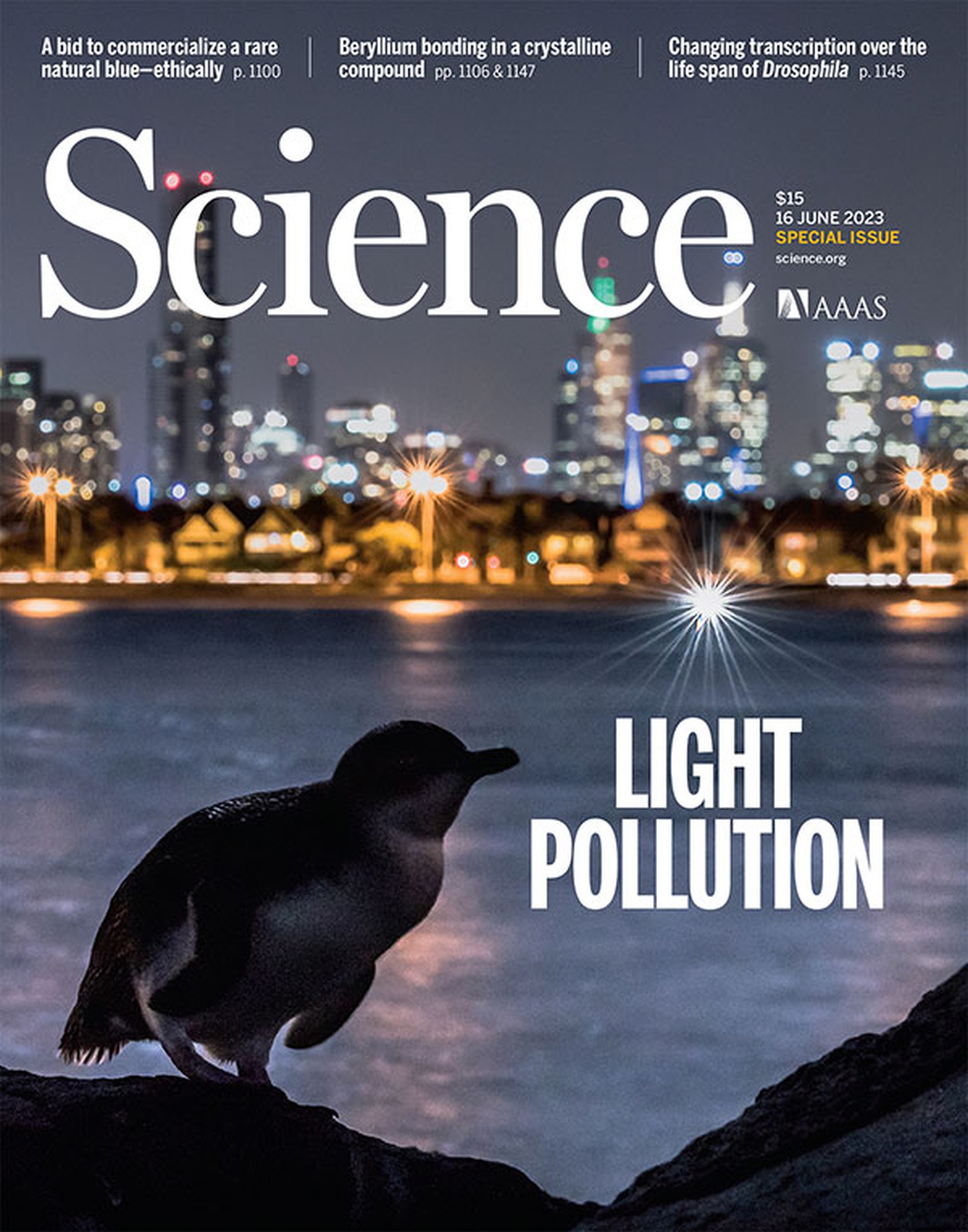 okładka czaspisma Science