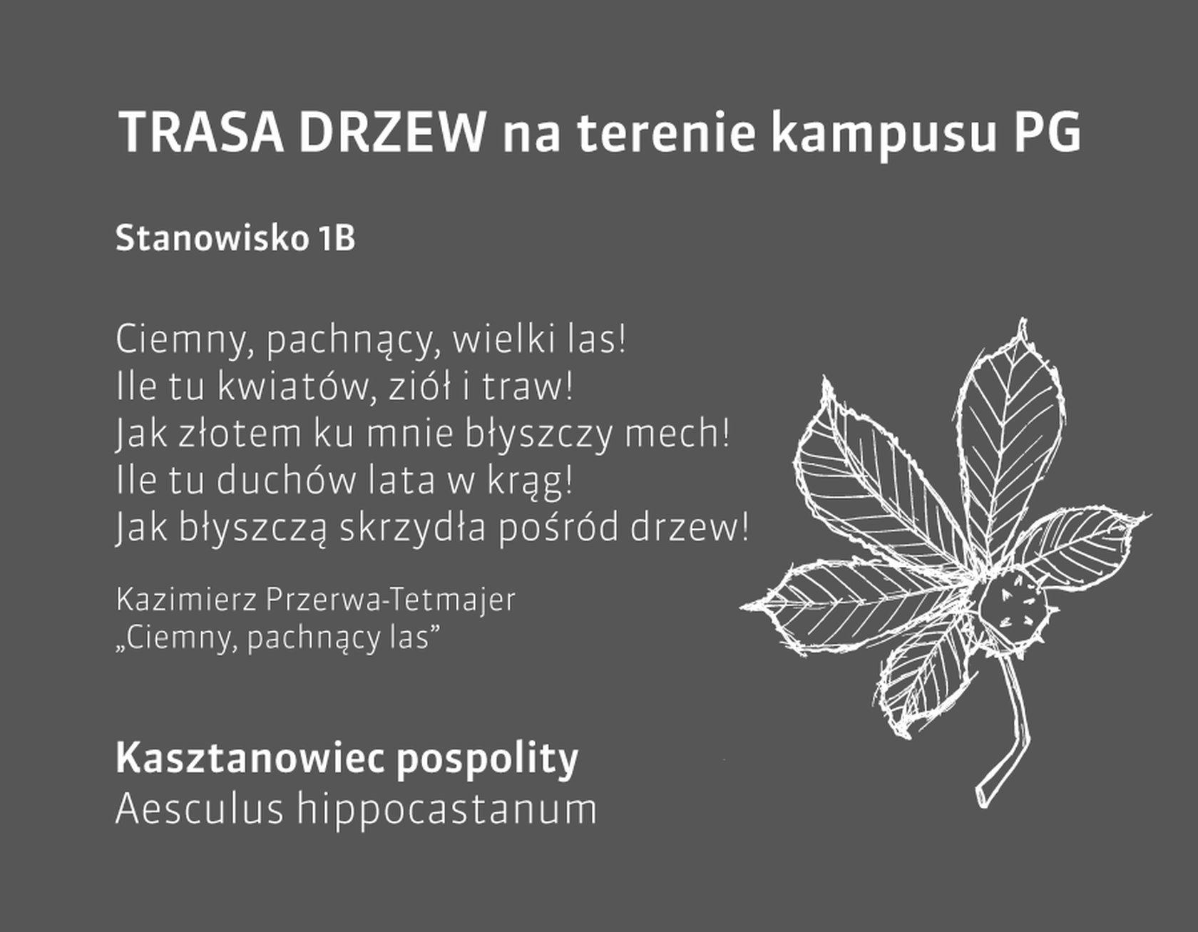 trasa