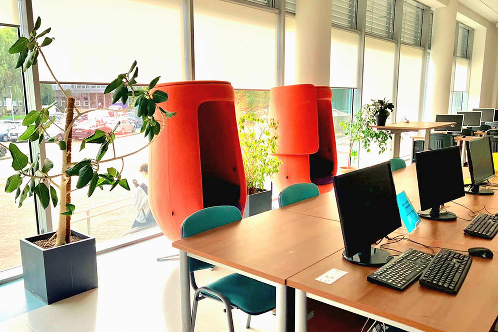 biblioteka